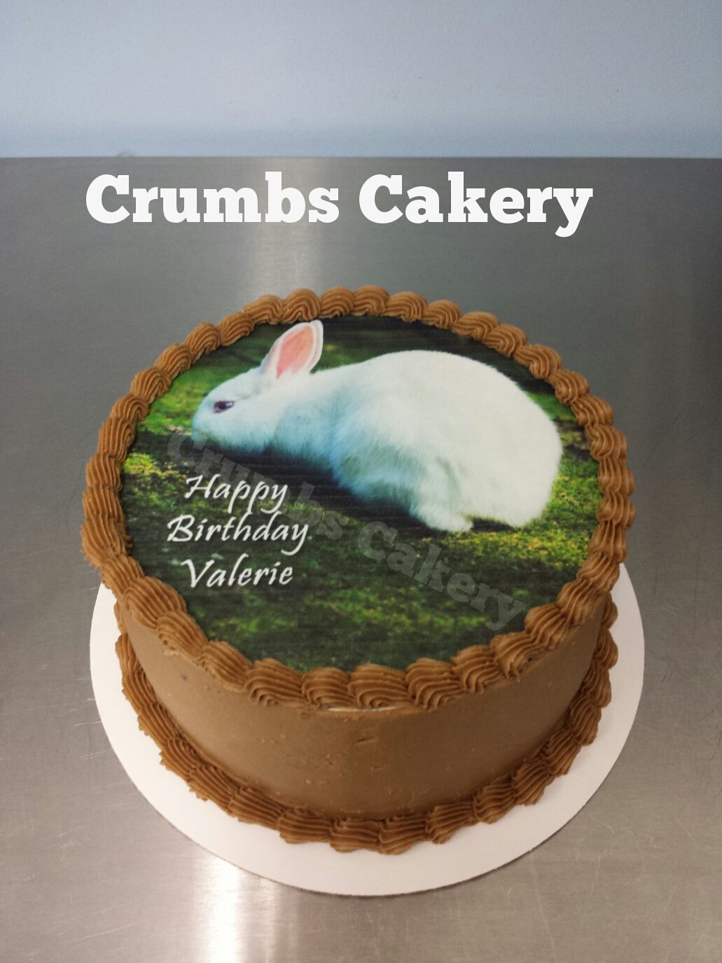 Edible Image Bunny Cake